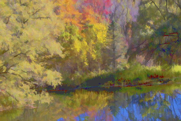 Autumn On The Pond