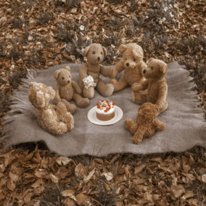 Teddy Bears Birthday Picnic